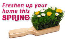 Chicago carpet & upholstery steam cleaning Illinois