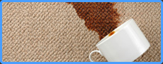 Chicago upholstery cleaning & carpet cleaning Chicago,IL