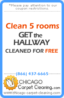 carpet cleaning