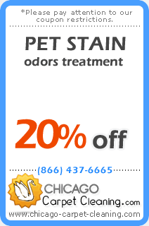 pet stain and odor removal